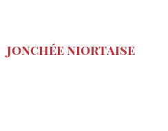Fromages du monde - Jonchée Niortaise